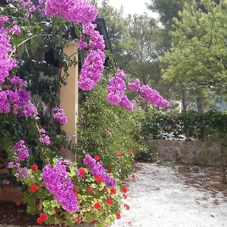 Apartment By The Sea Cove Osibova, Brac - 23774 *