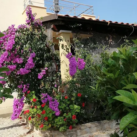 By The Sea Cove Osibova, Brac - 23774 Apartment *